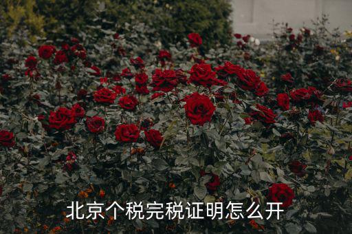 北京如何打印個人所得稅完稅證明，北京個稅完稅證明怎么開