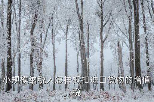 小規(guī)模如何抵扣進項，小規(guī)模增值稅怎么抵扣