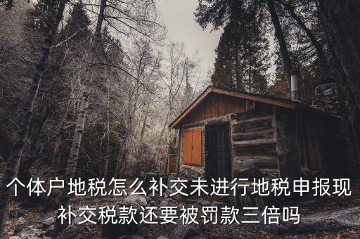 個體戶地稅怎么補交未進行地稅申報現補交稅款還要被罰款三倍嗎