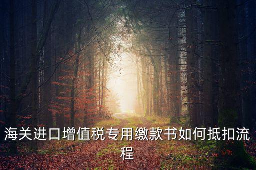 海關進口增值稅專用繳款書如何抵扣流程