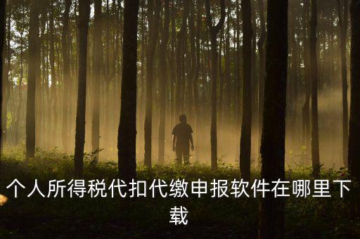 代扣代繳國稅如何申報(bào)系統(tǒng)下載，國稅增值稅小規(guī)模稅務(wù)電子申報(bào)軟件在哪里下載呢