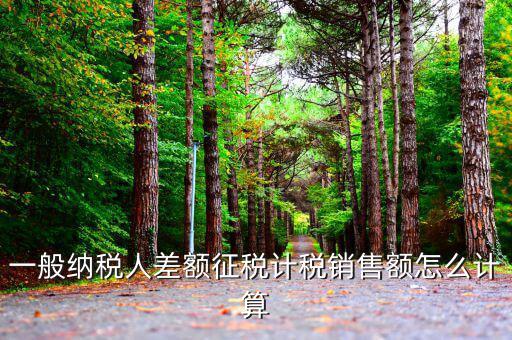 一般納稅人差額征稅計(jì)稅銷(xiāo)售額怎么計(jì)算