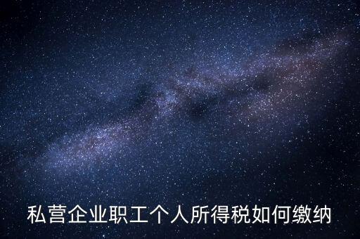 公司如何交個人所得稅，公司給員工發(fā)工資應(yīng)該怎么繳納個稅啊比如