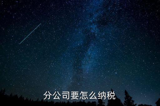 分支機(jī)構(gòu)如何納稅，分支機(jī)構(gòu)增值稅怎樣繳納