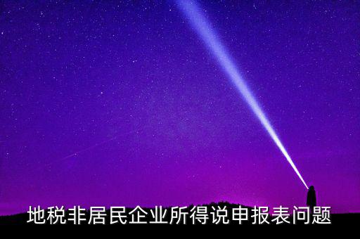 扣繳非居民所得稅報告表指什么，扣繳個人所得稅報告表30