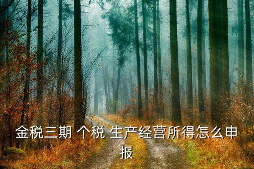 金稅三期 個稅 生產(chǎn)經(jīng)營所得怎么申報