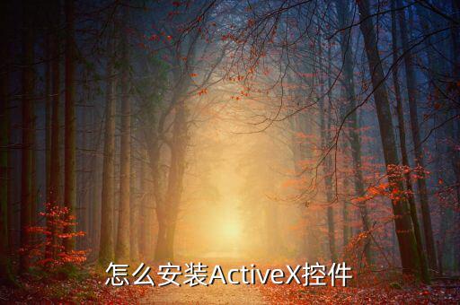 如何安裝scriptx，怎么安裝ActiveX控件