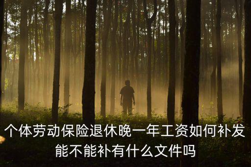 如何補發(fā)工資，個體勞動保險退休晚一年工資如何補發(fā)能不能補有什么文件嗎
