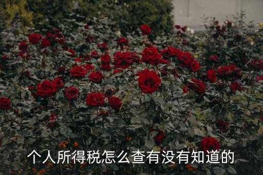 個(gè)人所得稅怎么查有沒(méi)有知道的
