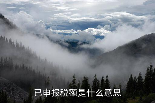 武漢稅務年報是什么意思，報告年度所得稅什么意思