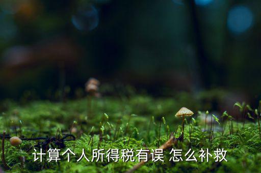 計算個人所得稅有誤 怎么補(bǔ)救