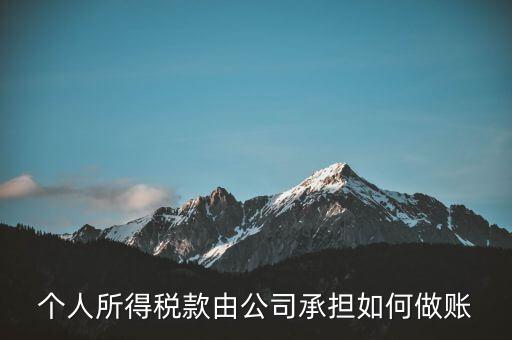 個(gè)稅公司承擔(dān) 如何報(bào)銷，個(gè)人所得稅款由公司承擔(dān)如何做賬