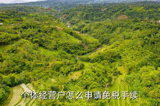 如何申請(qǐng)個(gè)體工商戶免稅，個(gè)體經(jīng)營(yíng)戶怎么申請(qǐng)免稅手續(xù)