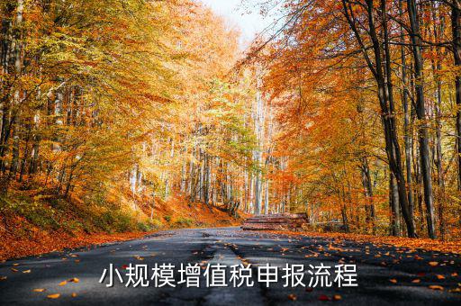 小規(guī)模納稅人 如何申報(bào)，小規(guī)模增值稅申報(bào)流程