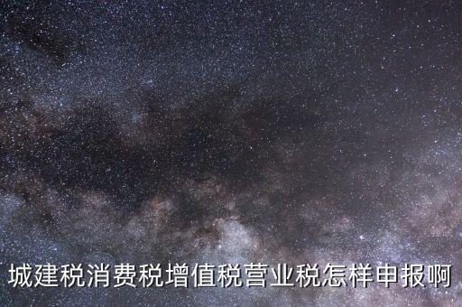 消費稅如何納稅申報，小汽車消費稅納稅如何申報