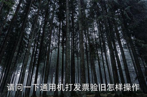 請(qǐng)問(wèn)一下通用機(jī)打發(fā)票驗(yàn)舊怎樣操作