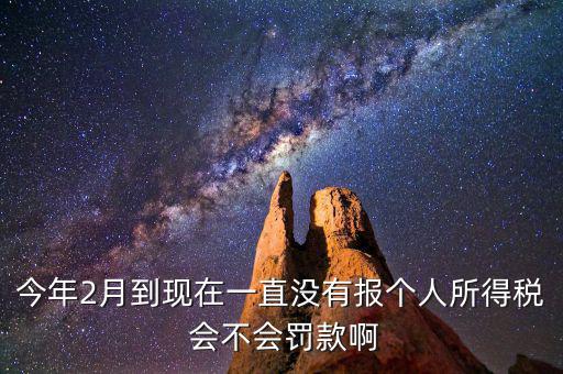 個(gè)稅申報(bào)不報(bào)會(huì)如何，個(gè)人所得稅自行申報(bào)不去做有什么危害