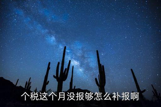 如何補(bǔ)報(bào)個(gè)人所得稅，個(gè)人所得稅報(bào)錯(cuò)了怎么補(bǔ)報(bào)