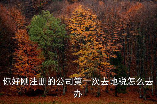 新辦企業(yè)如何辦地稅，新辦企業(yè)去地稅報(bào)道需要帶什么手續(xù)