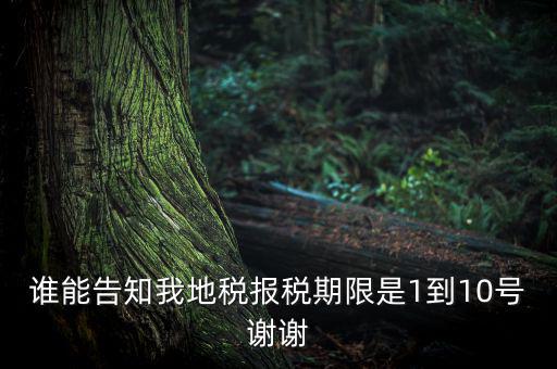 地稅的報(bào)稅期是什么時(shí)候，地稅中的年度財(cái)務(wù)報(bào)表申報(bào)期限是什么時(shí)候