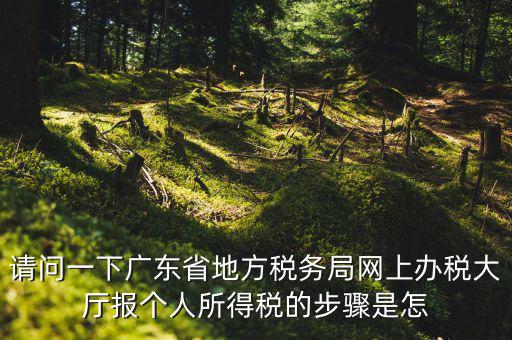 廣州地稅如何網(wǎng)上申報，想請教如何辦理廣州地稅網(wǎng)上申報
