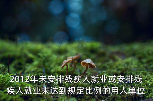殘保金如何計(jì)算，2012年未安排殘疾人就業(yè)或安排殘疾人就業(yè)未達(dá)到規(guī)定比例的用人單位