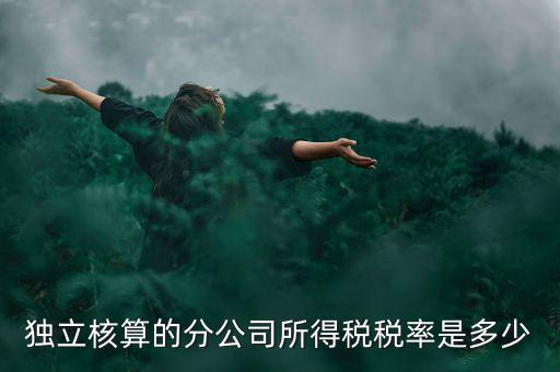 獨(dú)立核算的分公司如何納稅，誰知道獨(dú)立核算的同城分公司如何繳稅