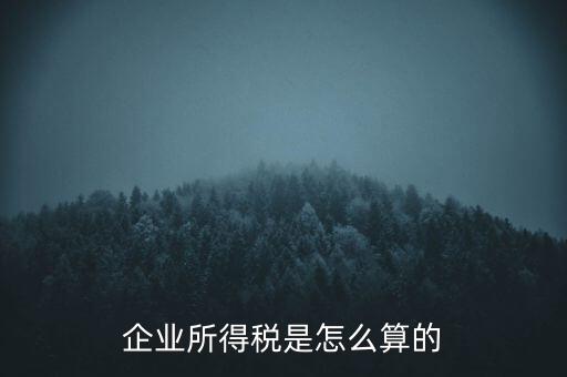 公司所得稅如何計算，企業(yè)所得稅該怎么計算