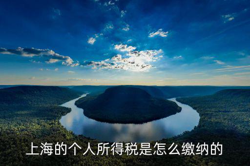 上海個人所得稅如何繳納，上海個人所得稅的繳納急