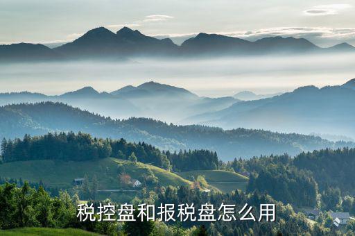 如何使用稅控盤報稅，求金稅盤如何在電腦上報稅操作流程