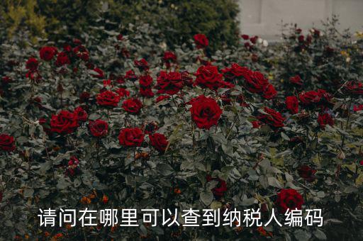 教您如何查詢納稅人代碼，忘記稅務征收機關(guān)代碼