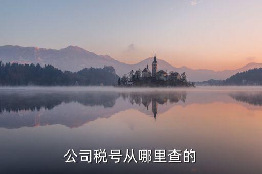 如何查到企業(yè)納稅號(hào)，公司稅號(hào)從哪里查的