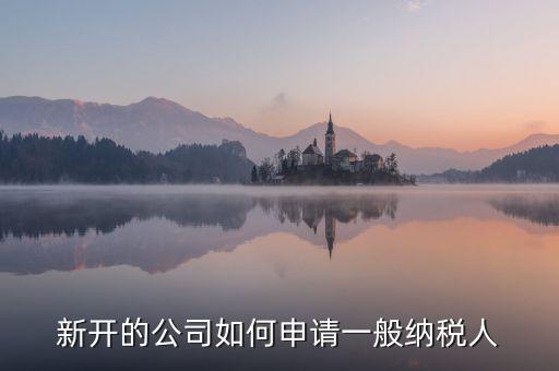 新開的公司如何申請(qǐng)一般納稅人