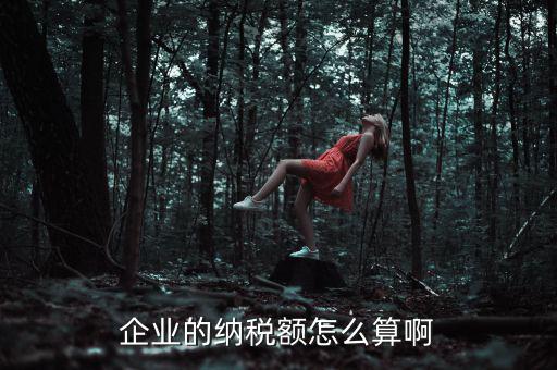 企業(yè)納稅如何計(jì)算，企業(yè)的納稅額怎么算啊