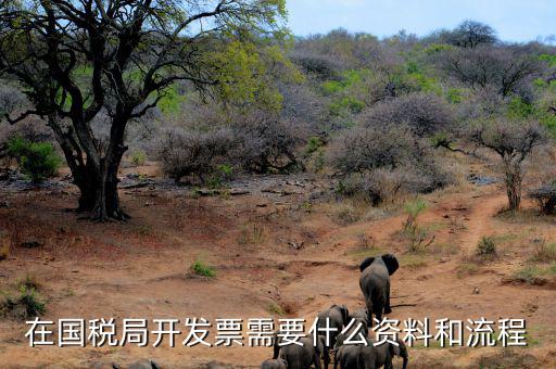 國稅局批票如何辦理，在國稅局開發(fā)票需要什么資料和流程