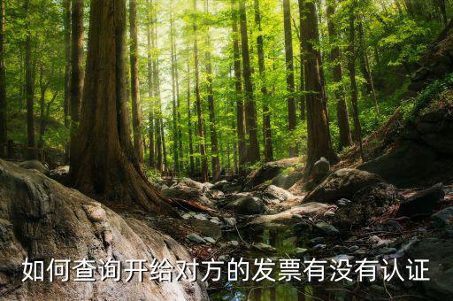 如何查詢(xún)發(fā)票認(rèn)證信息查詢(xún)，如何查詢(xún)開(kāi)給對(duì)方的發(fā)票有沒(méi)有認(rèn)證