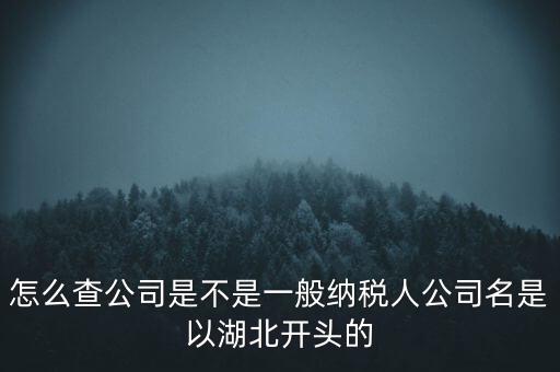 如何查詢企業(yè)是否是一般納稅人，怎么查公司是不是一般納稅人公司名是以湖北開頭的