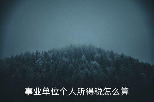 事業(yè)單位個(gè)人所得稅怎么算