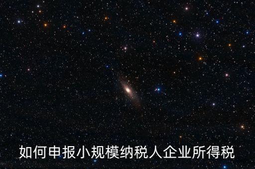 小規(guī)模納稅人如何報企業(yè)所得稅，如何申報小規(guī)模納稅人企業(yè)所得稅