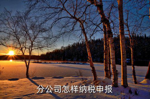 如何申報(bào)分公司所得稅，分公司的所得稅怎么報(bào)