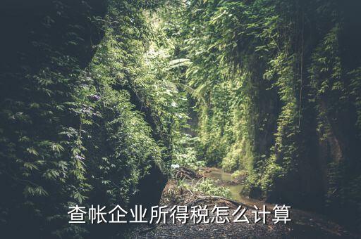 企業(yè)所得稅如何查賬，企業(yè)所得稅計算 查賬法