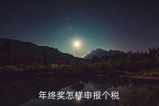 年終獎個人所得稅如何申報，年終獎個稅怎么申報