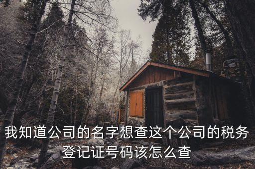 如何查詢稅務(wù)登記證號碼，稅務(wù)登記號查詢