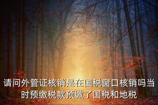 外管證如何核銷，發(fā)票已開外管證丟了怎么核銷