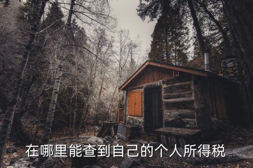 個(gè)人所得稅如何查，怎么查個(gè)人所得稅