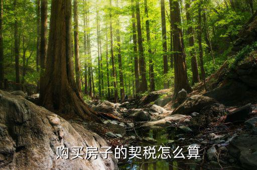 如何省契稅，契稅怎么算