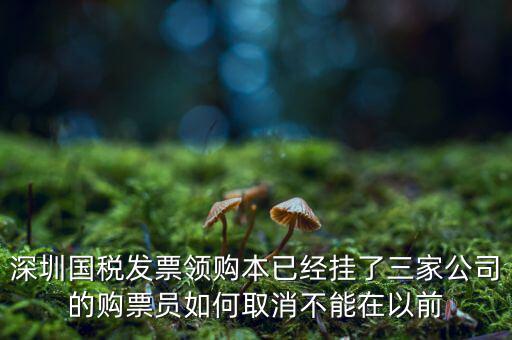 如何取消稅務(wù)局購(gòu)票人，國(guó)稅如何刪除購(gòu)票人