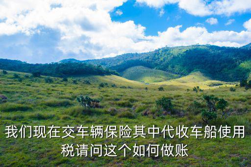 我們現在交車輛保險其中代收車船使用稅請問這個如何做賬