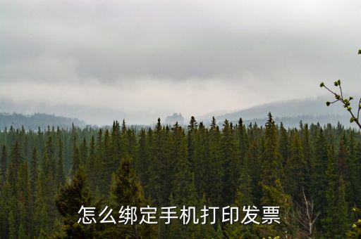 百旺電子發(fā)票如何綁定終端，尚未配備電子發(fā)票終端怎么處理
