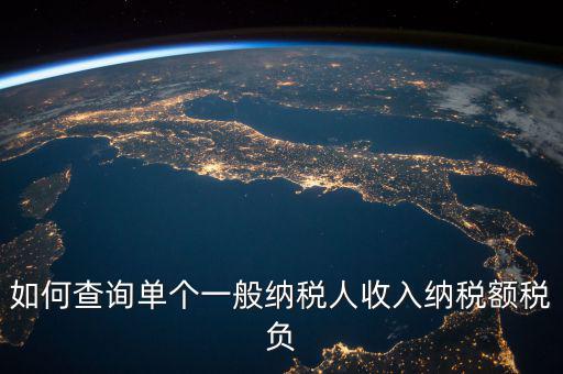 如何查詢(xún)單個(gè)一般納稅人收入納稅額稅負(fù)